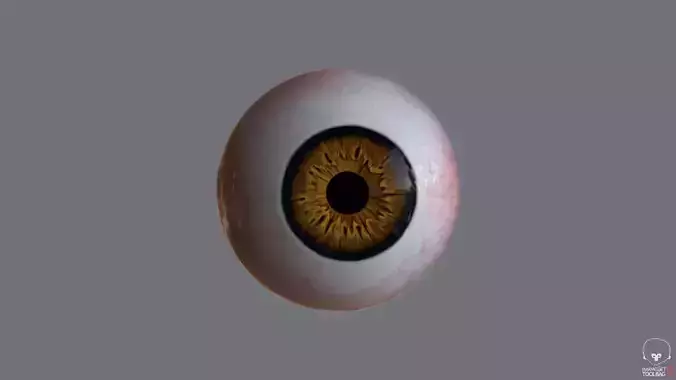PBR realistic eye low poly