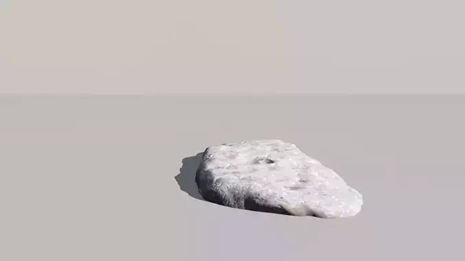Shell Fossil 3d Scan  3D model