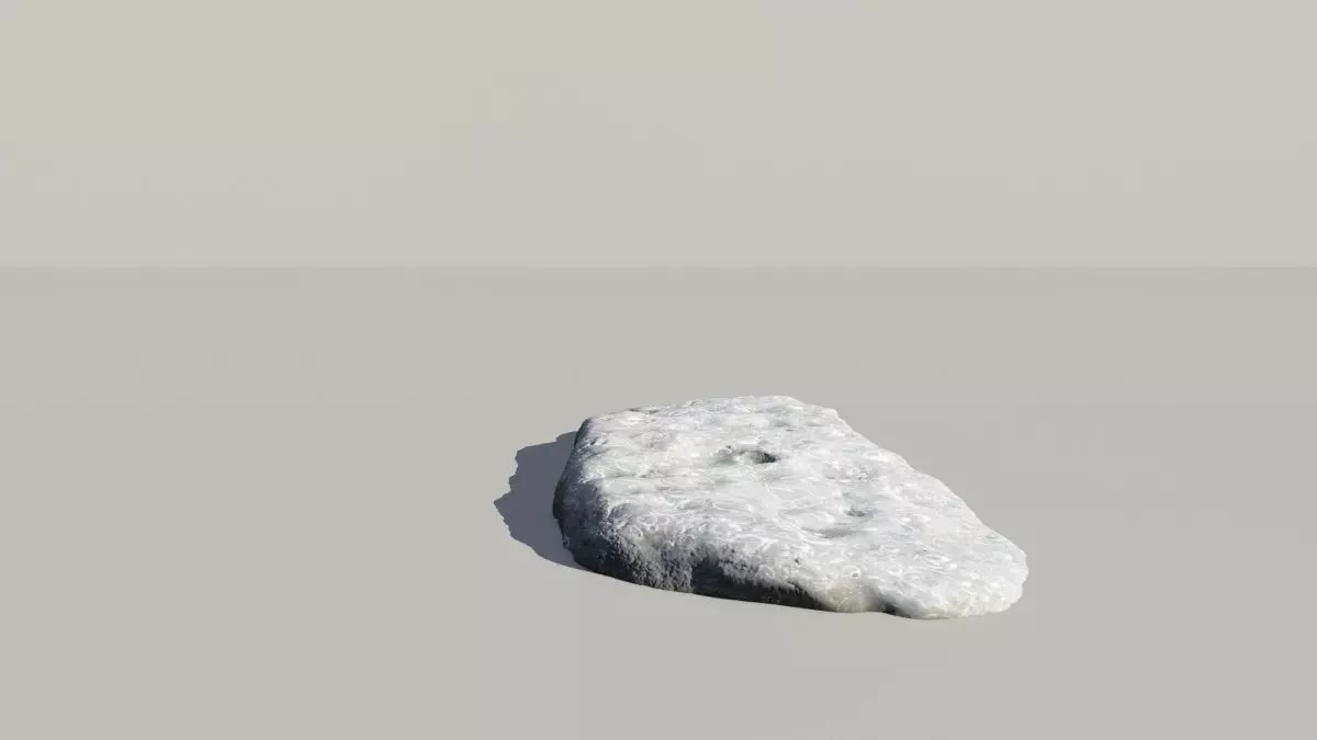 Shell Fossil 3d Scan  3D model_0