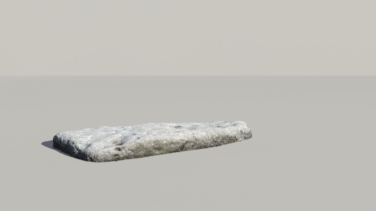 Shell Fossil 3d Scan  3D model_3