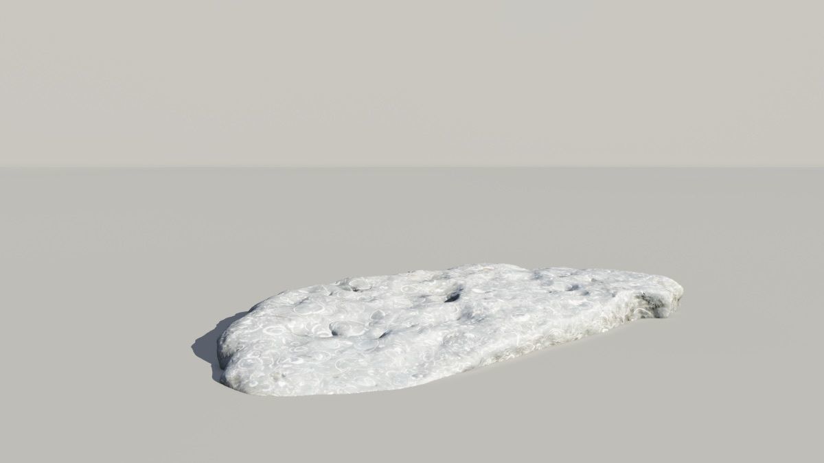 Shell Fossil 3d Scan  3D model_1