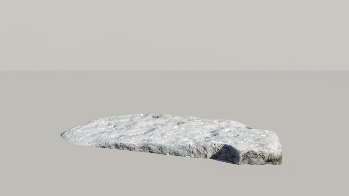 Shell Fossil 3d Scan  3D model_7