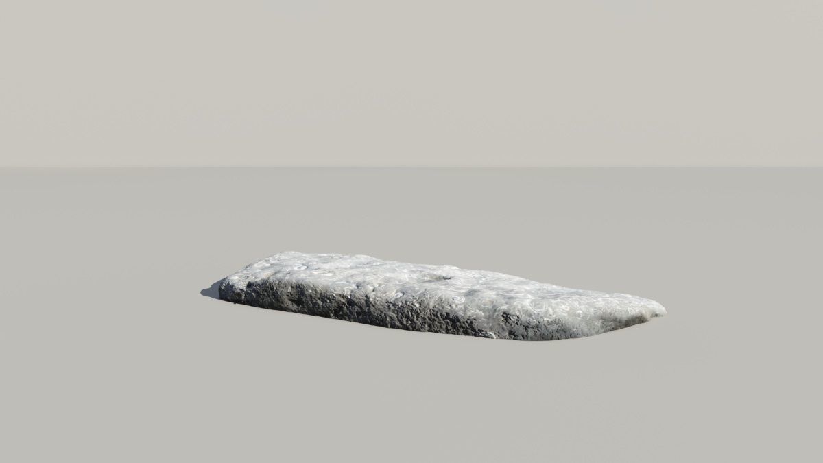 Shell Fossil 3d Scan  3D model_4