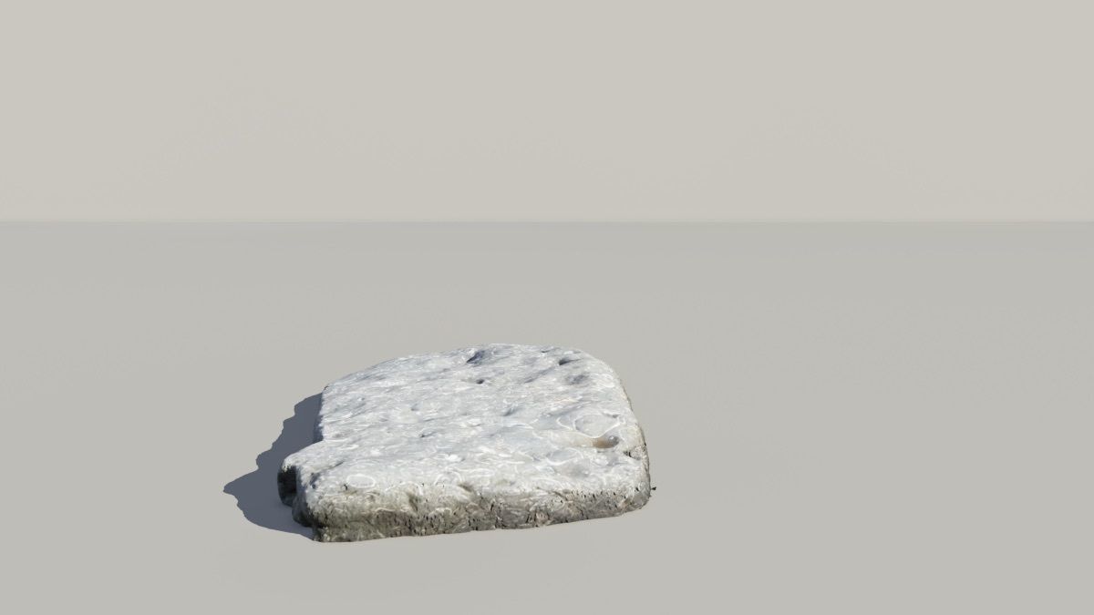 Shell Fossil 3d Scan  3D model_2