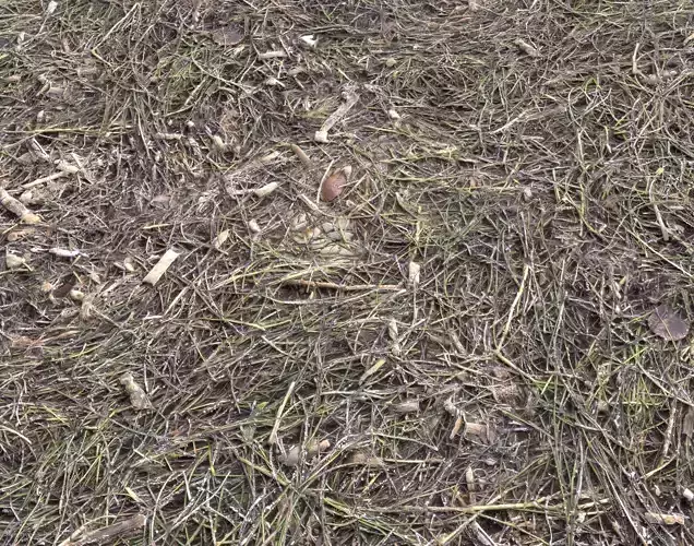 Forest Terrain dirt Pack 12