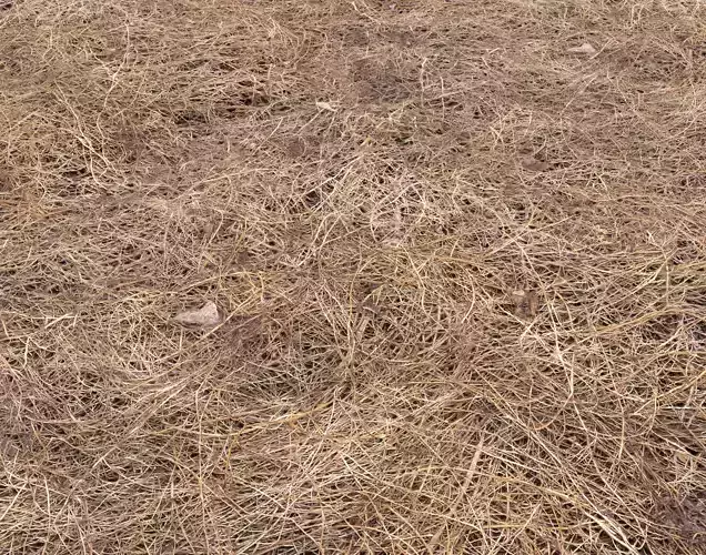 Forest Terrain Pack PBR 13