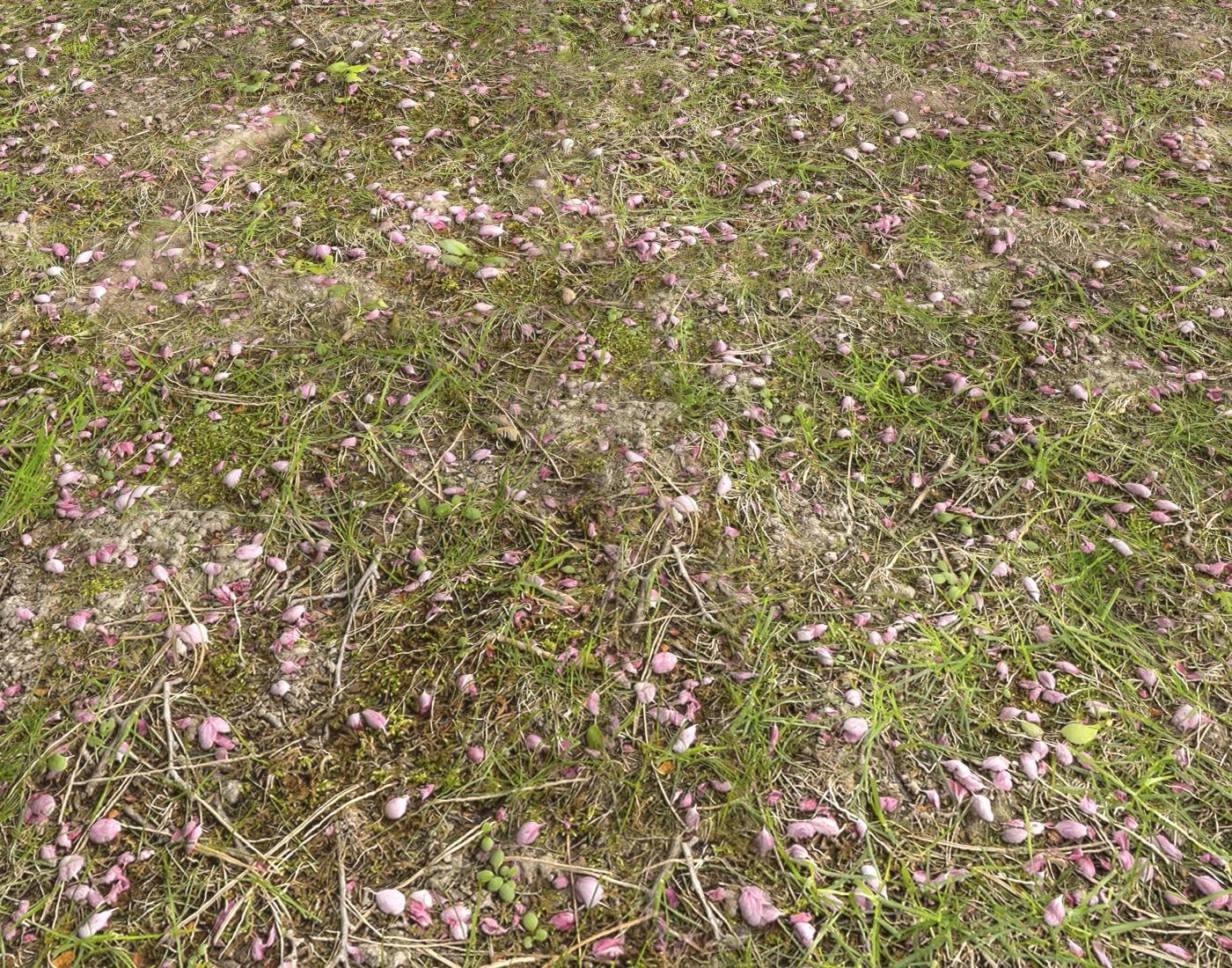 Forest Terrain Pack PBR 14 Texture_15