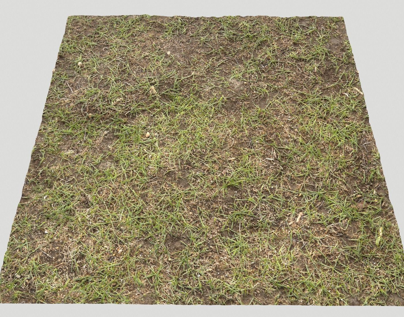 Forest Terrain Pack PBR 14 Texture_21