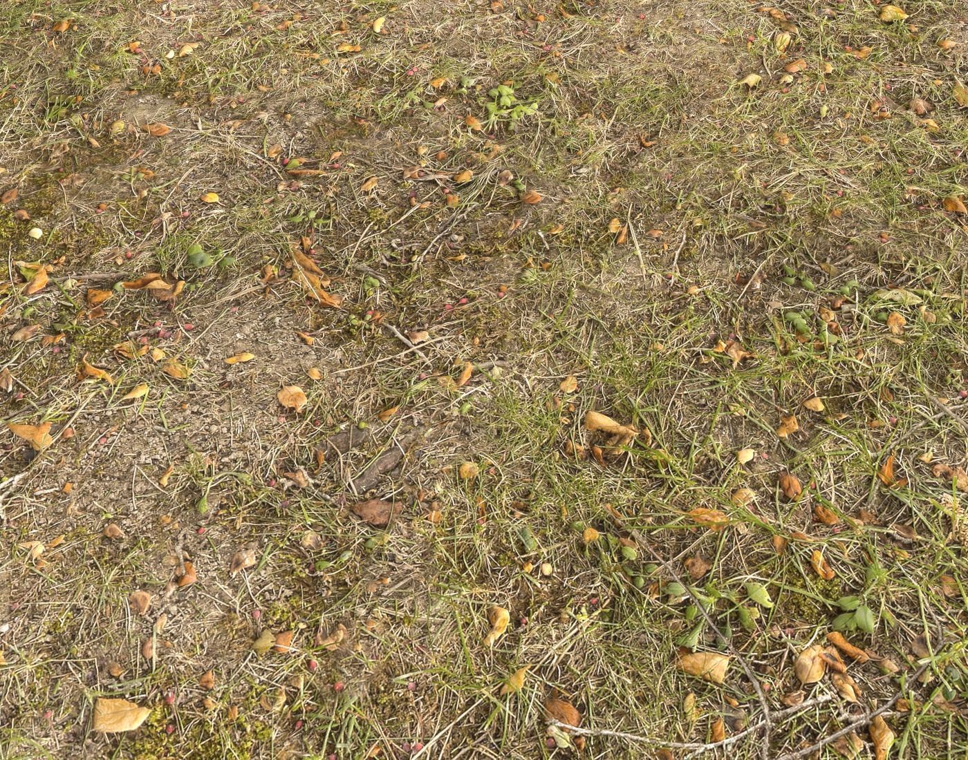 Forest Terrain Pack PBR 14 Texture_10