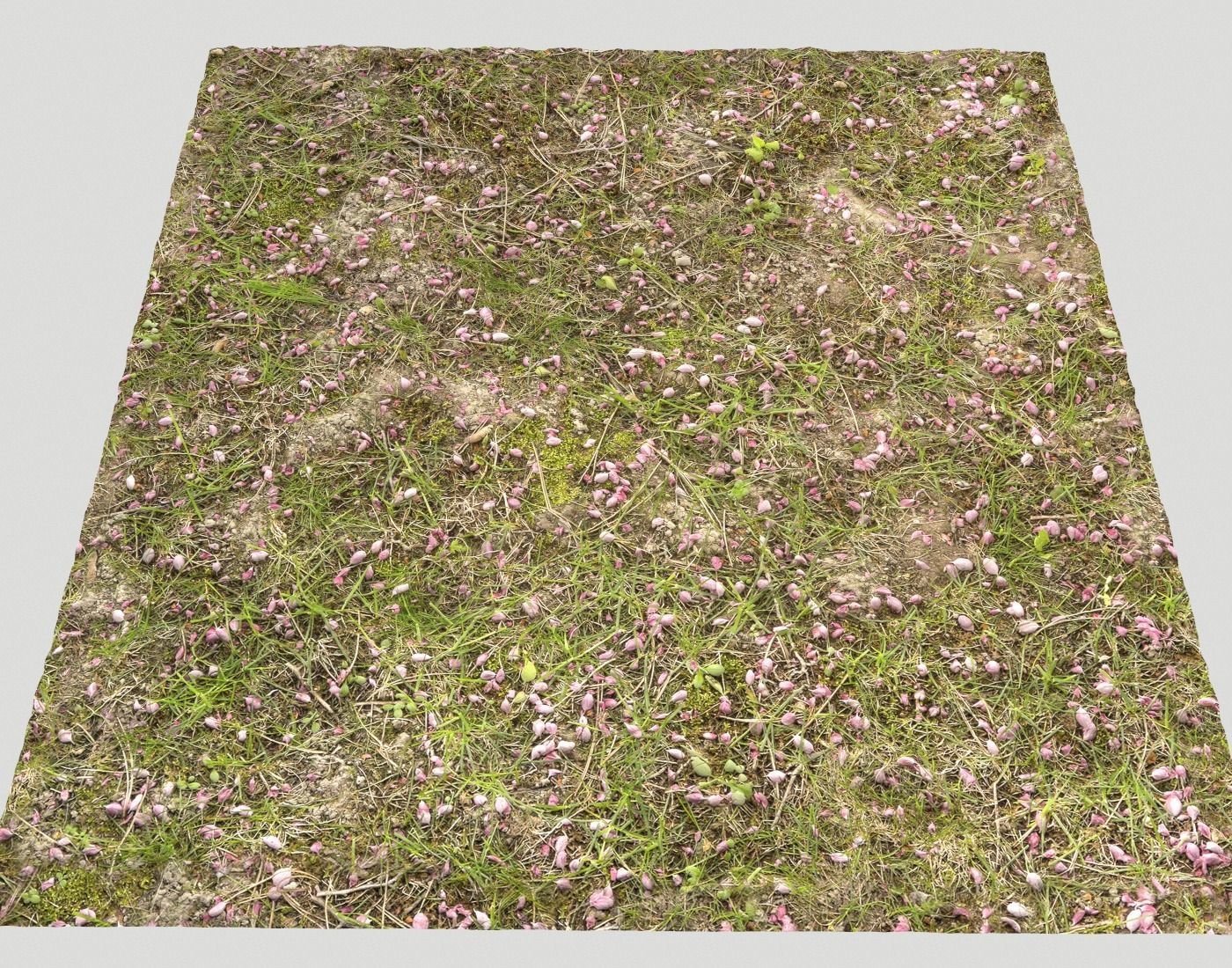 Forest Terrain Pack PBR 14 Texture_23