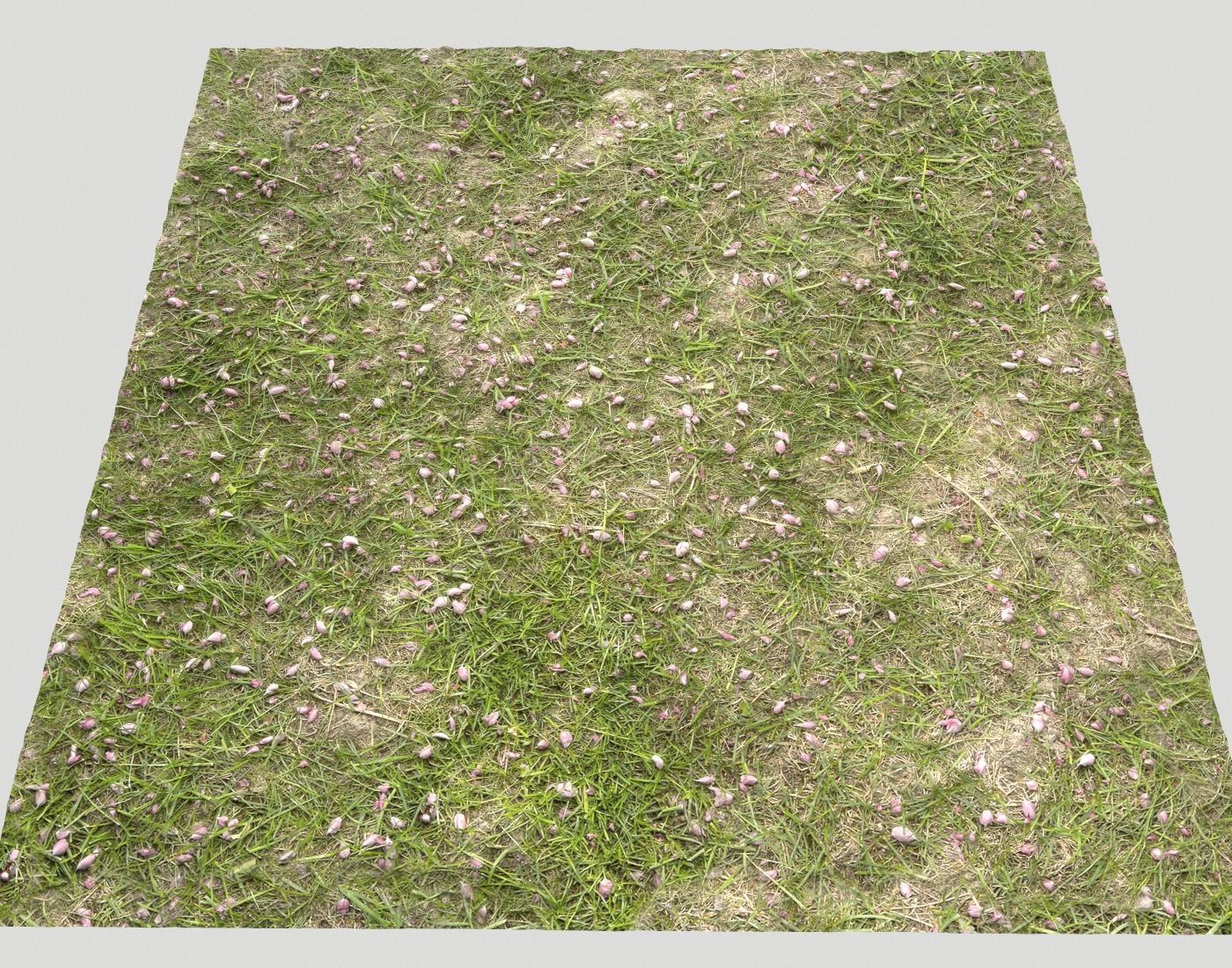 Forest Terrain Pack PBR 14 Texture_24