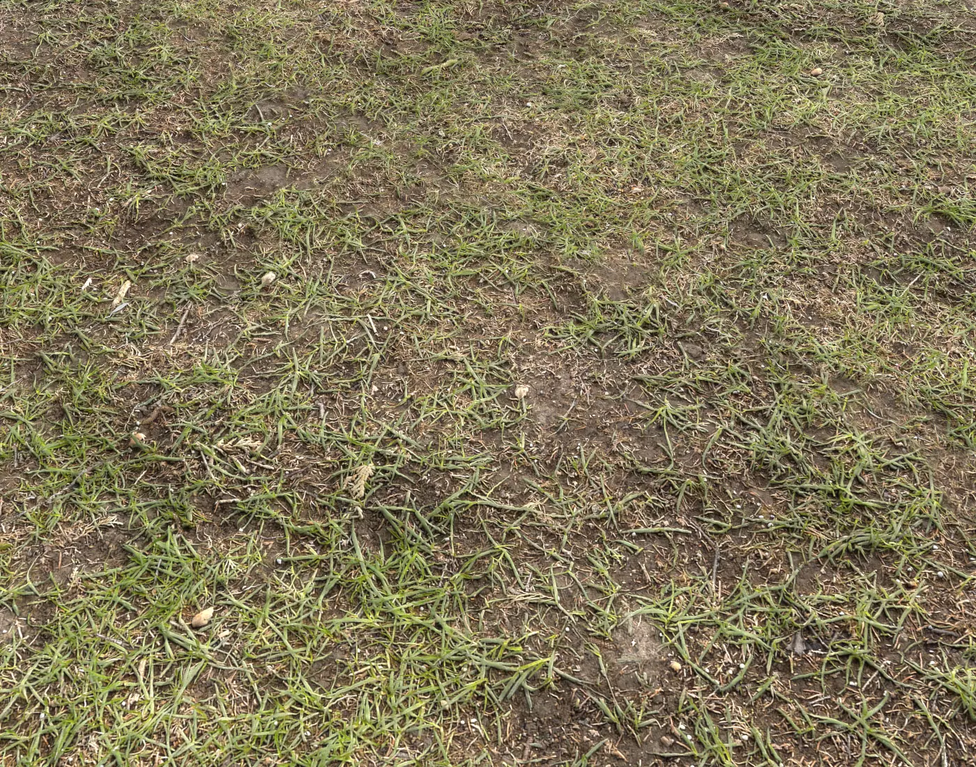 Forest Terrain Pack PBR 14 Texture_0