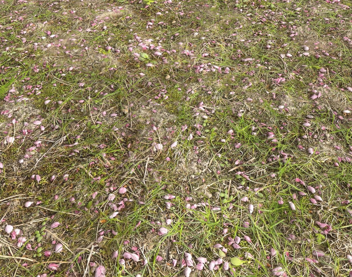 Forest Terrain Pack PBR 14 Texture_16