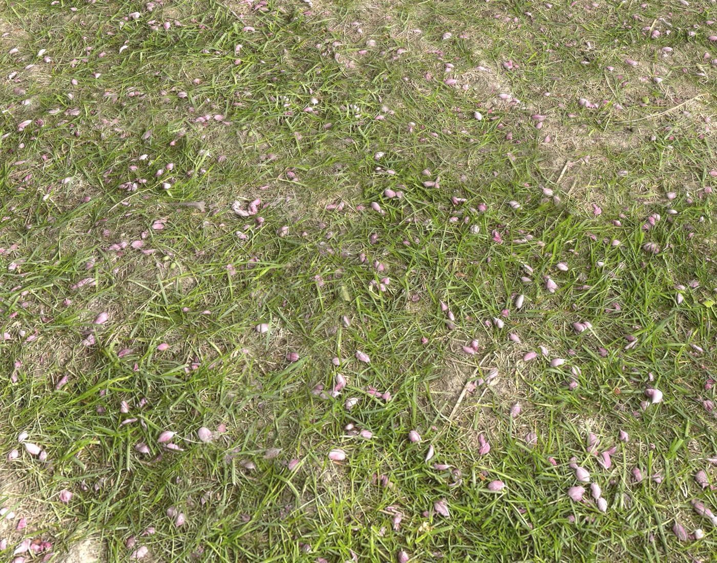 Forest Terrain Pack PBR 14 Texture_18
