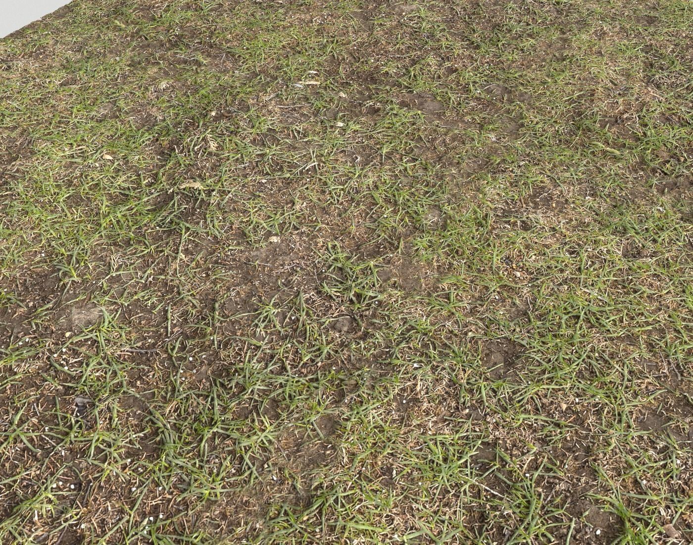 Forest Terrain Pack PBR 14 Texture_6