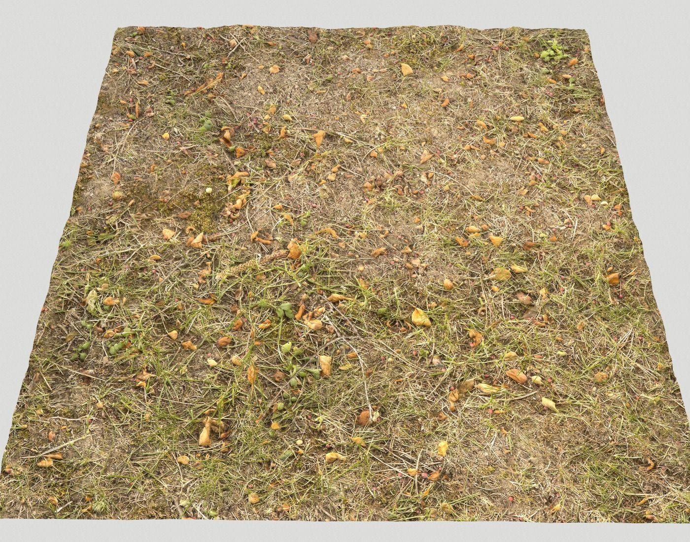 Forest Terrain Pack PBR 14 Texture_22