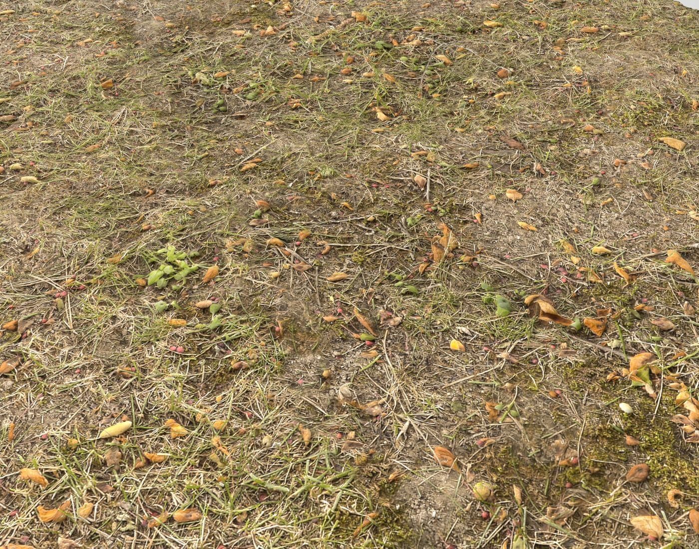 Forest Terrain Pack PBR 14 Texture_12