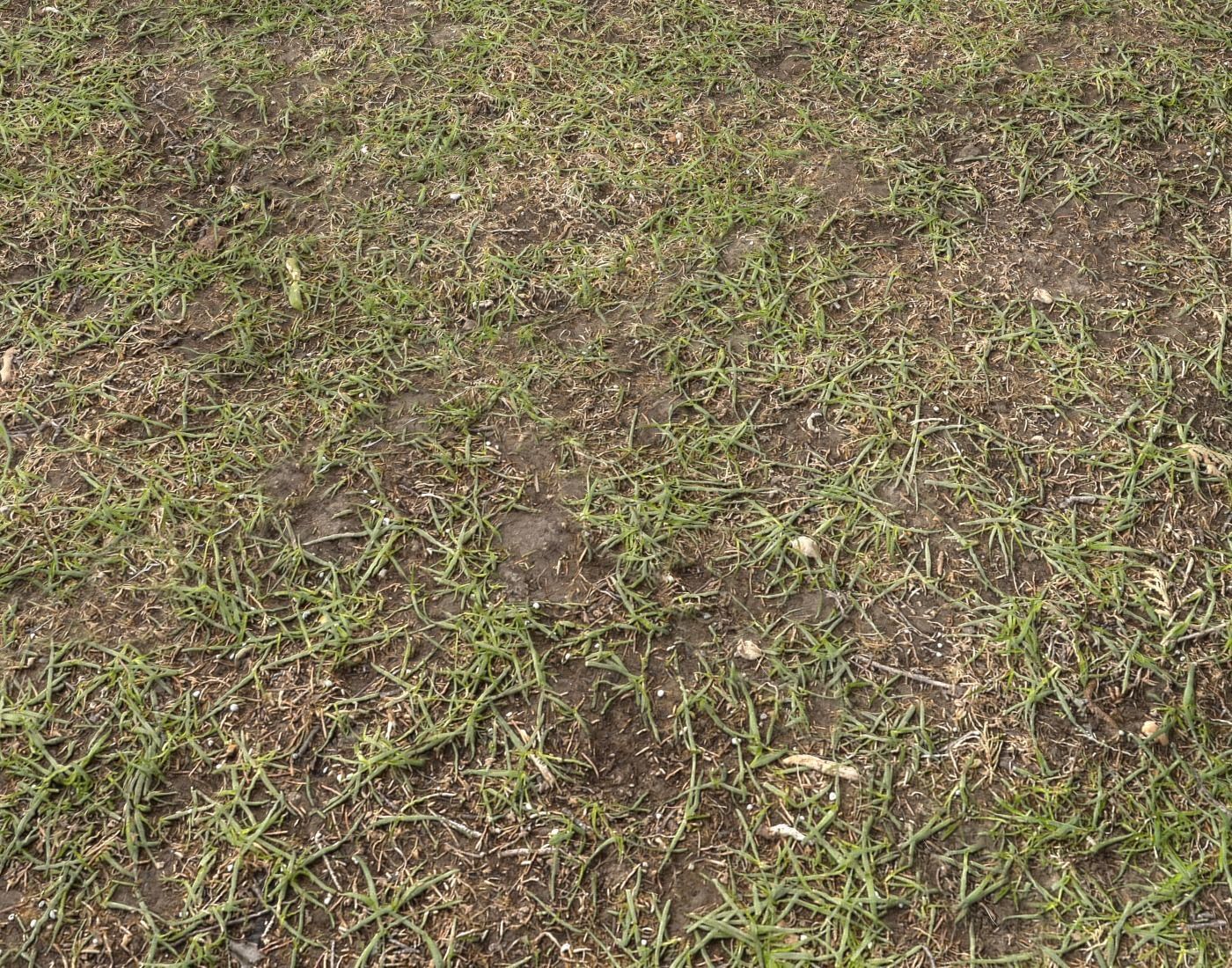 Forest Terrain Pack PBR 14 Texture_8