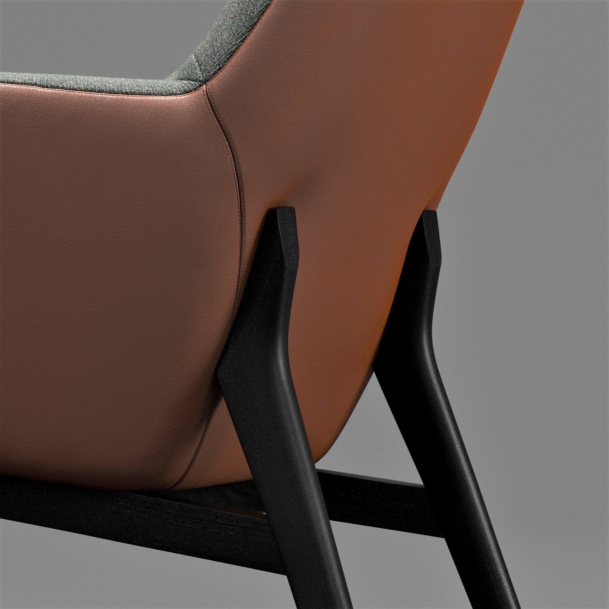 Camerich QING FIXED 3D model_1