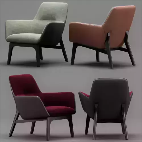 Camerich QING FIXED 3D model