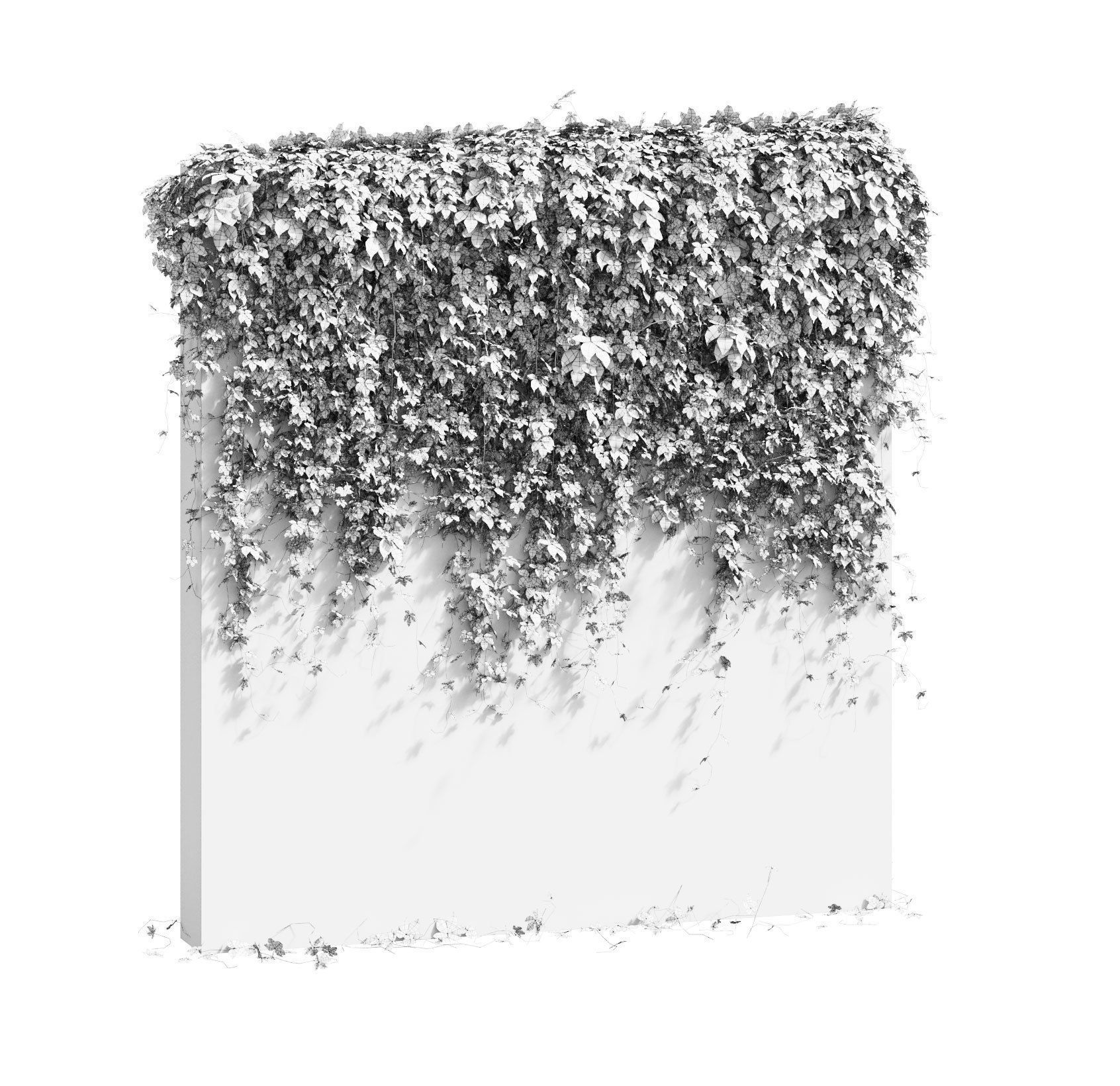 Wall with grape leaves 3D model_5