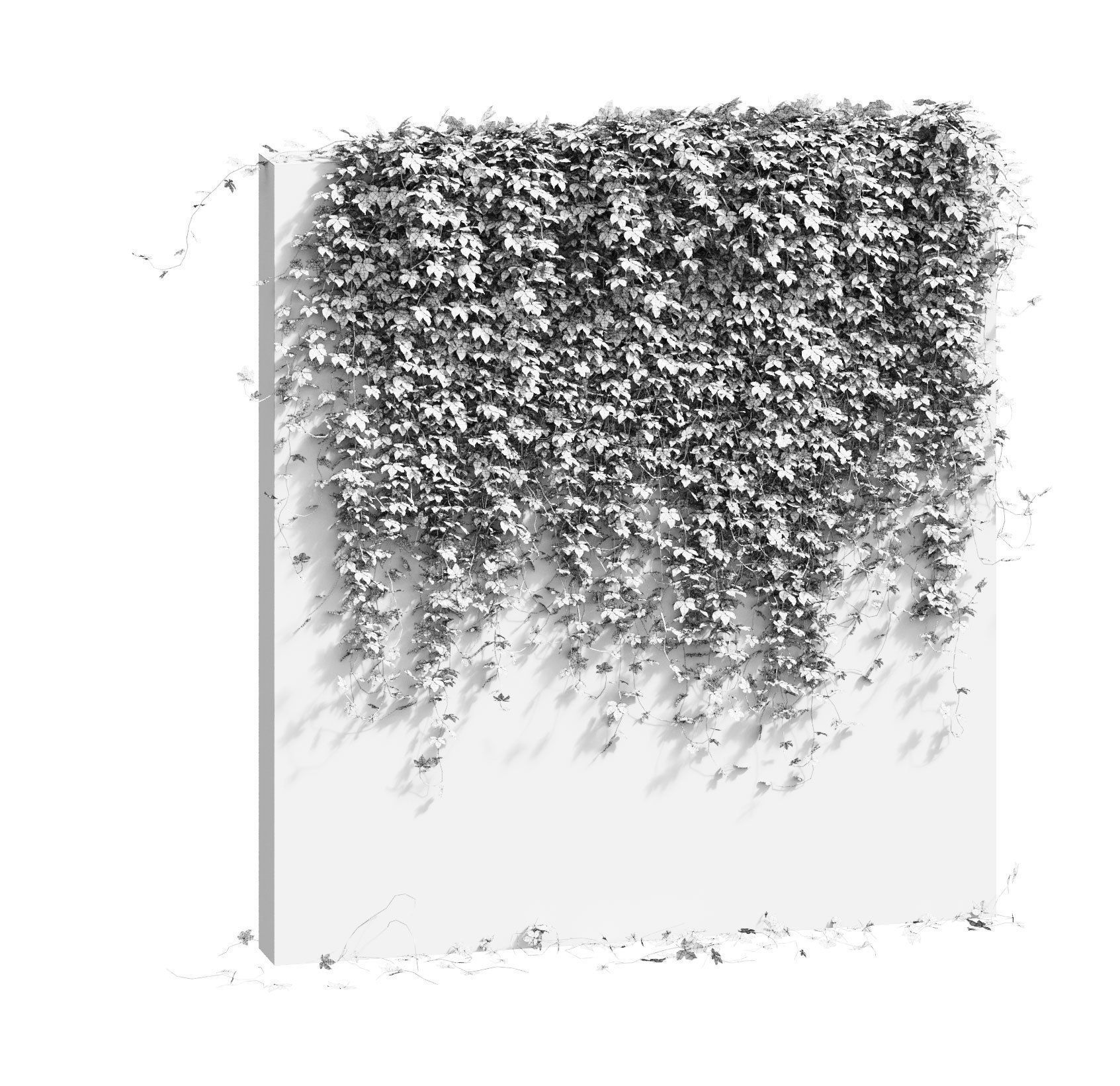 Wall with grape leaves 3D model_4