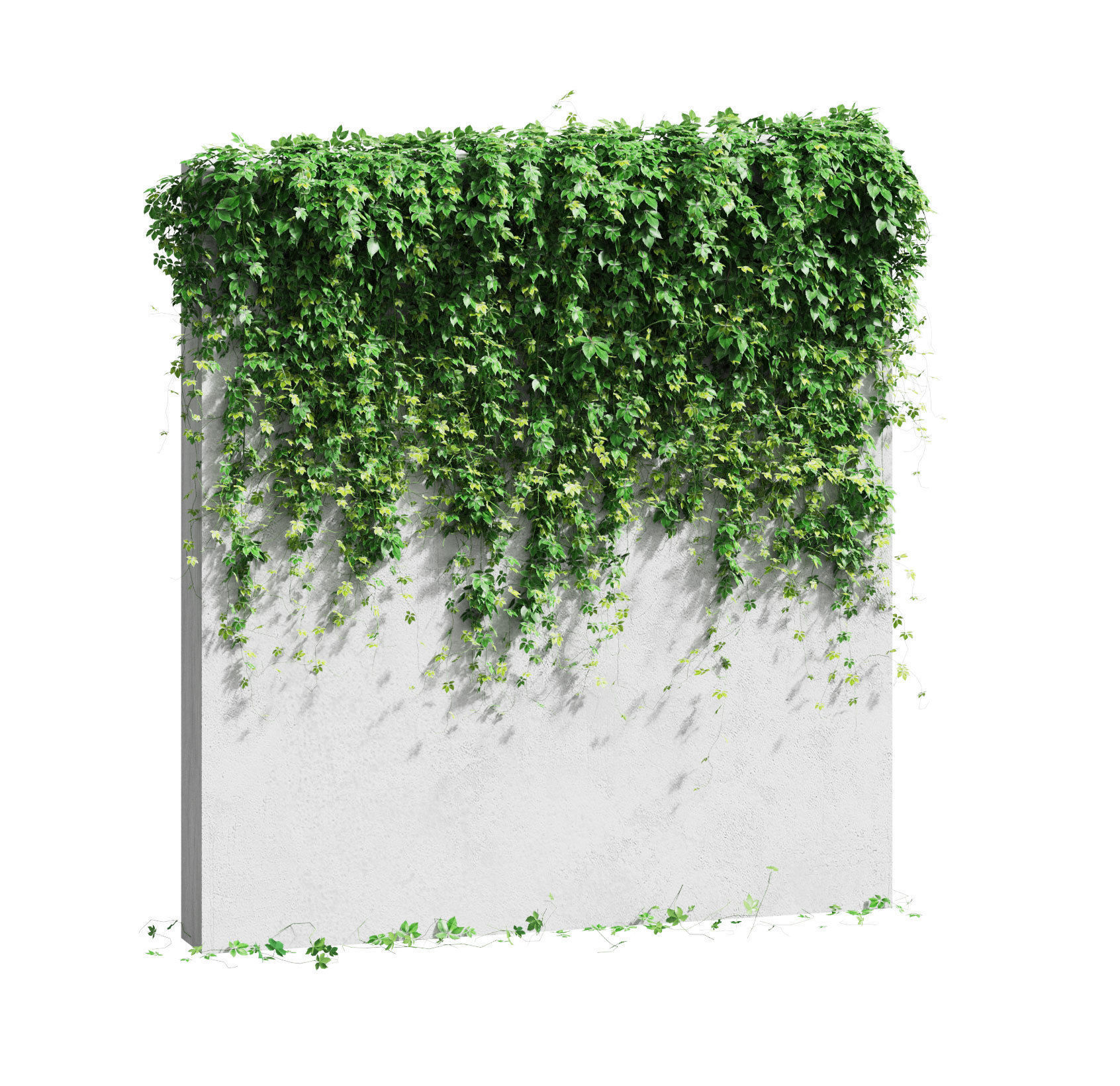 Wall with grape leaves 3D model_2
