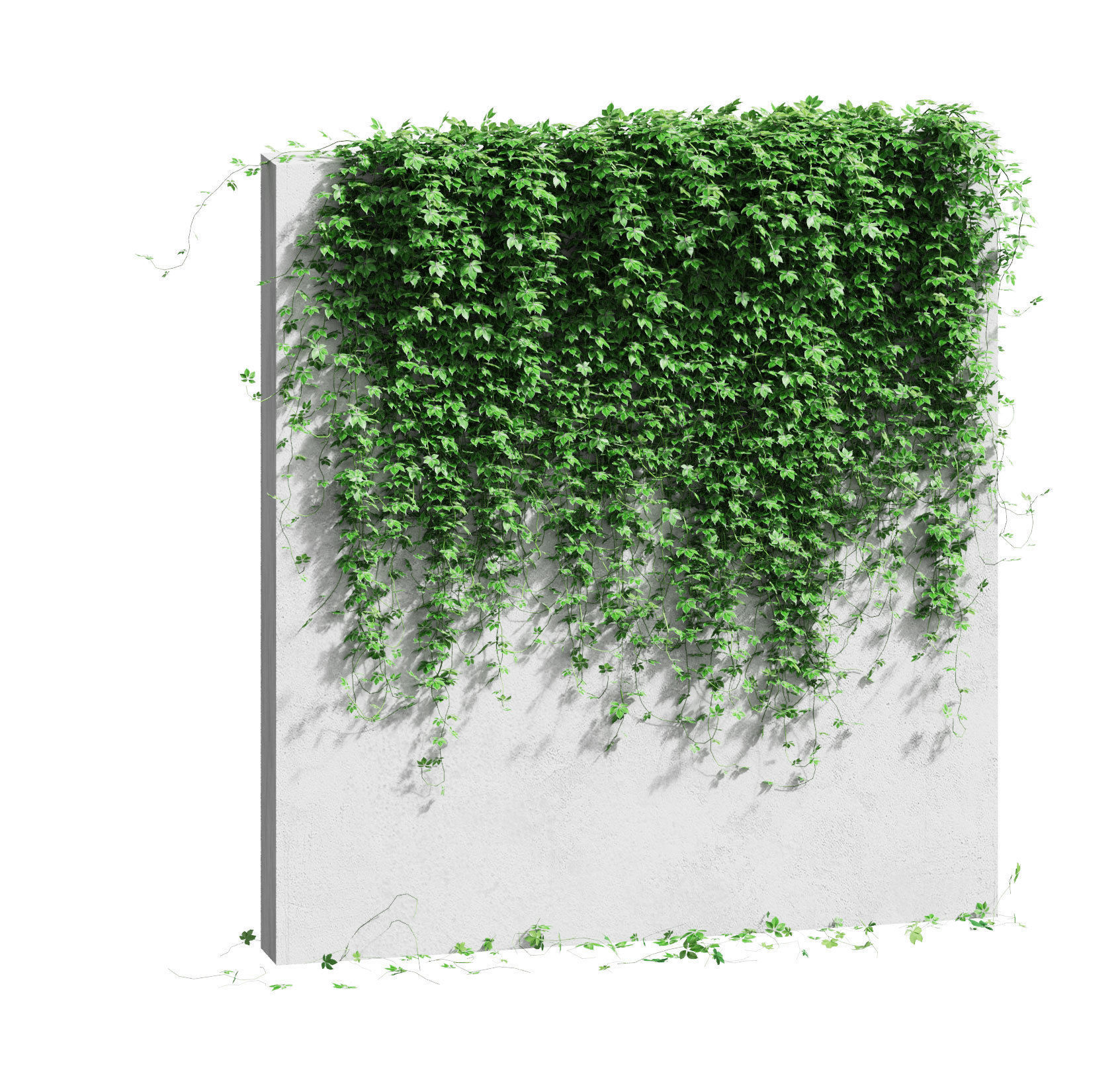 Wall with grape leaves 3D model_1