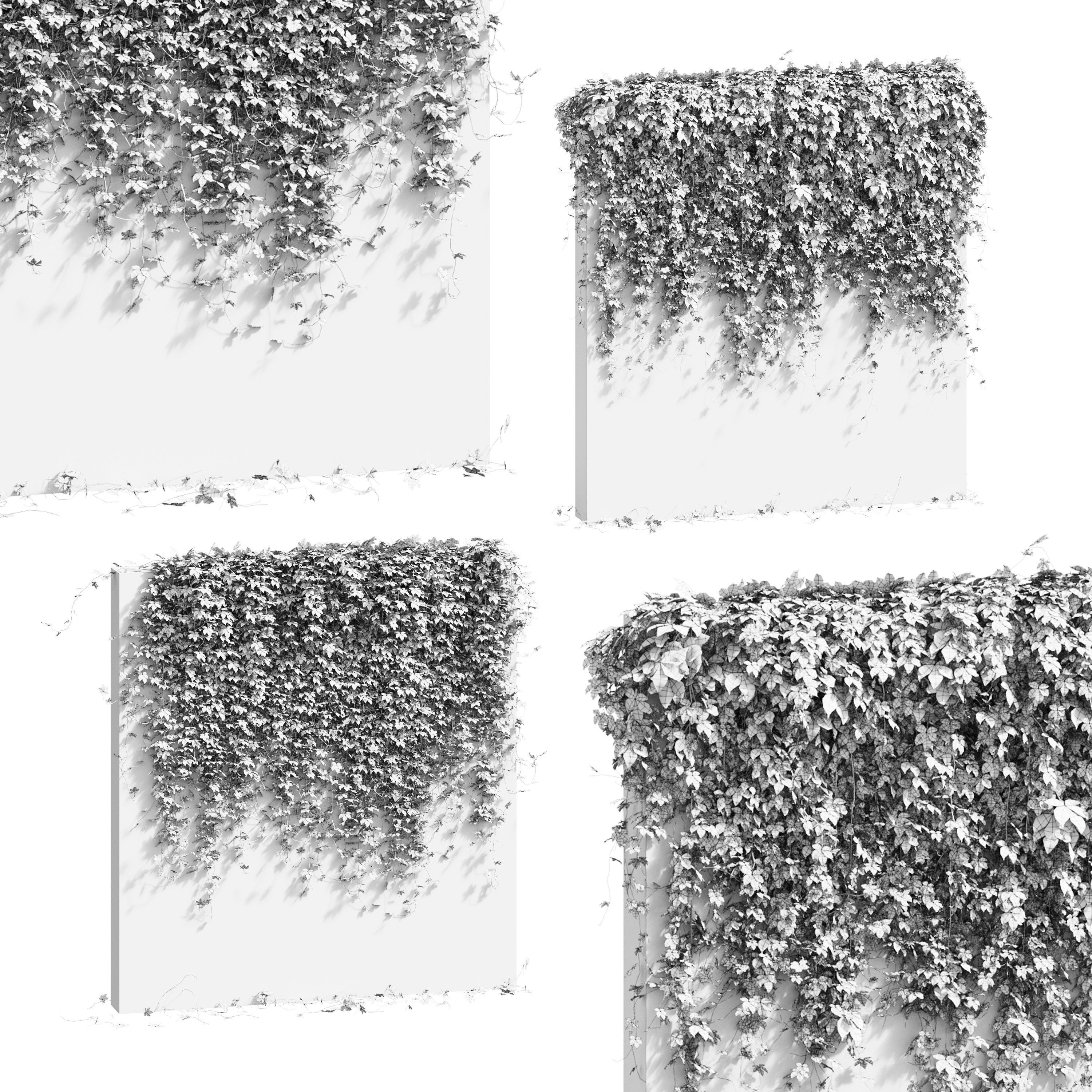 Wall with grape leaves 3D model_3