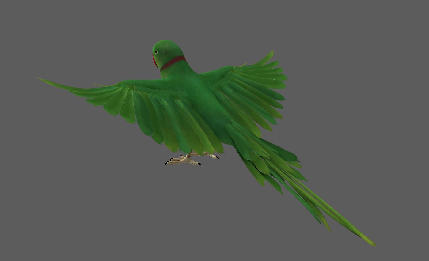 Green Parrot 3D model_1