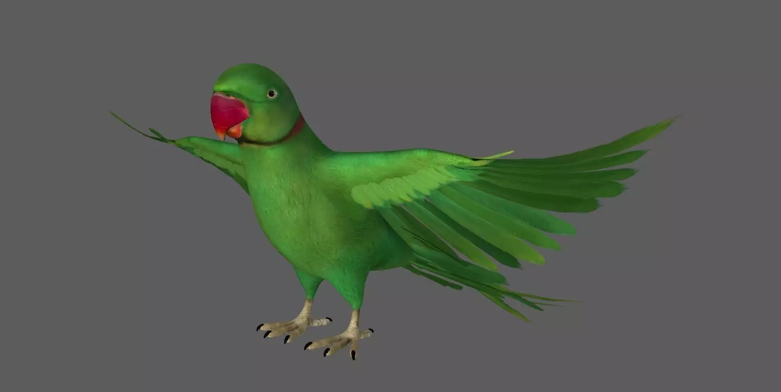 Green Parrot 3D model_0