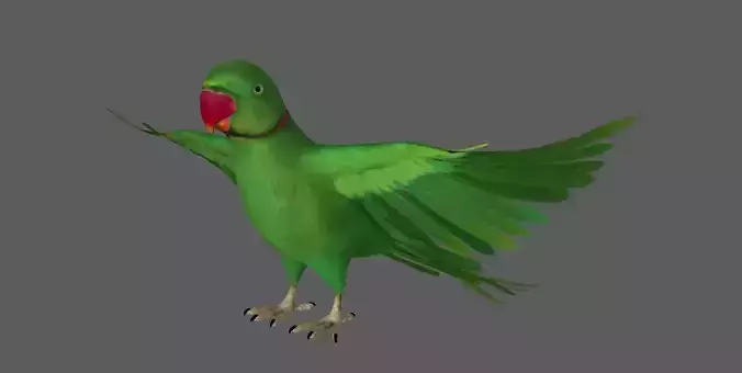 Green Parrot