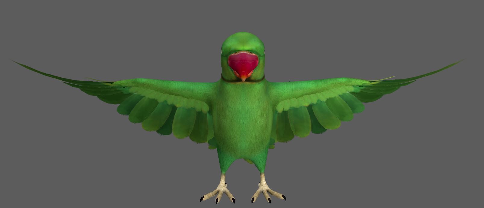 Green Parrot 3D model_2