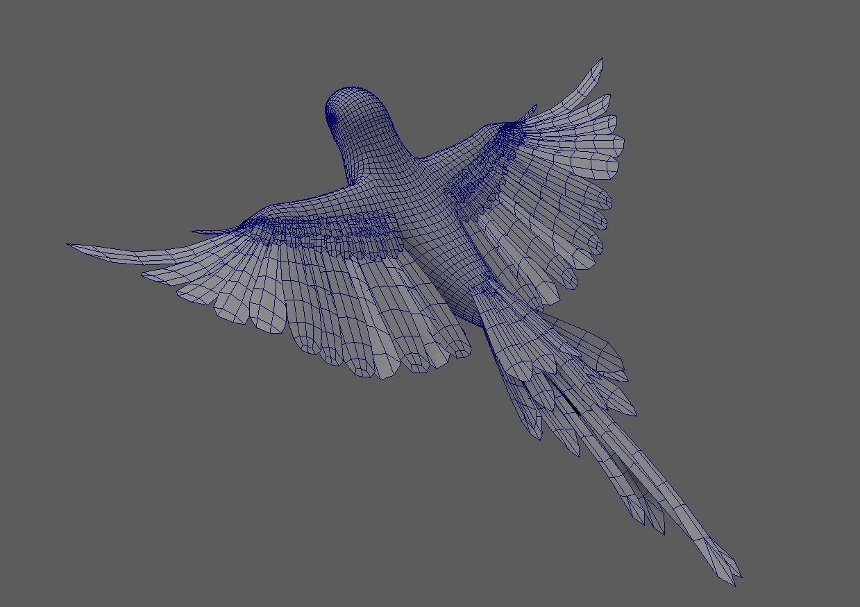 Green Parrot 3D model_5