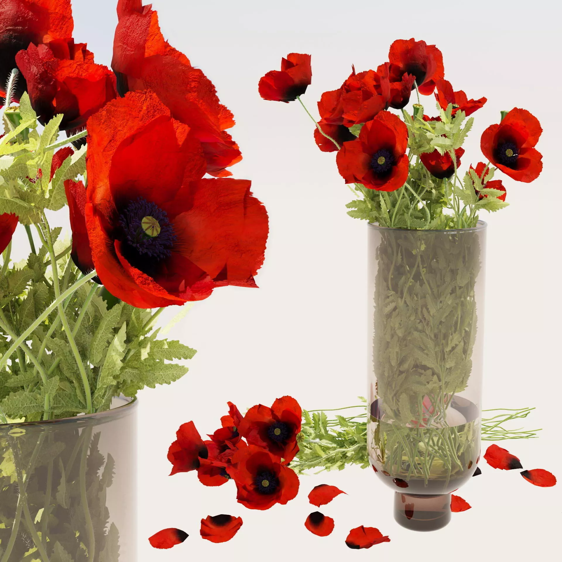 Field poppy a bouquet in a vase 3D model