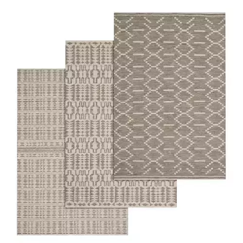 Rug Set 154