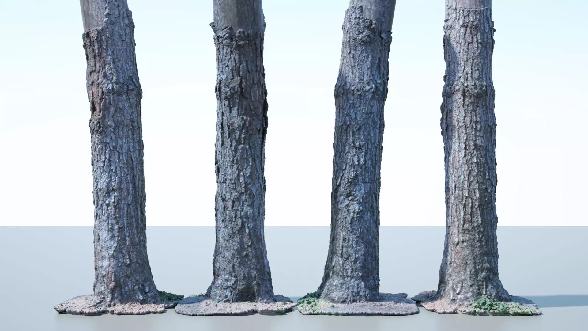 Tree Trunk - 03 3D model_0