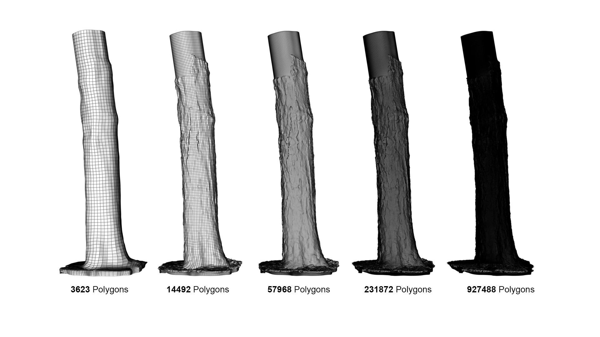 Tree Trunk - 03 3D model_1