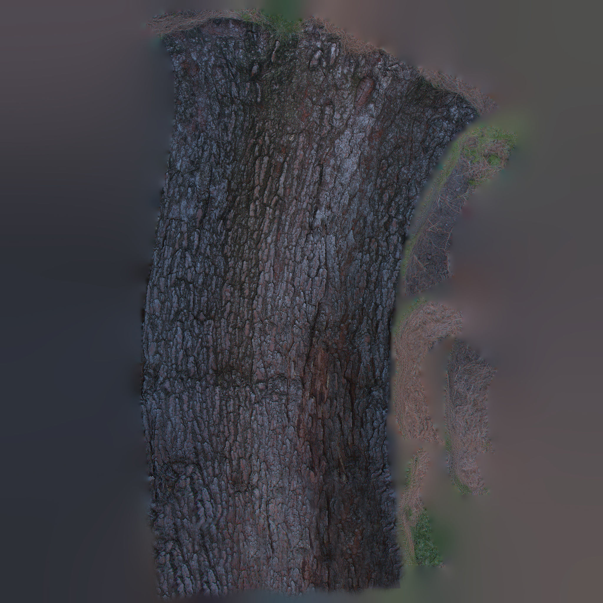 Tree Trunk - 03 3D model_10