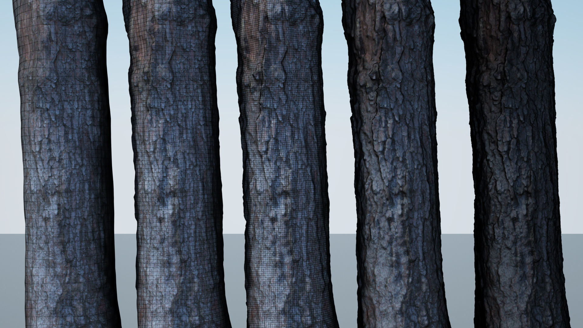 Tree Trunk - 03 3D model_3