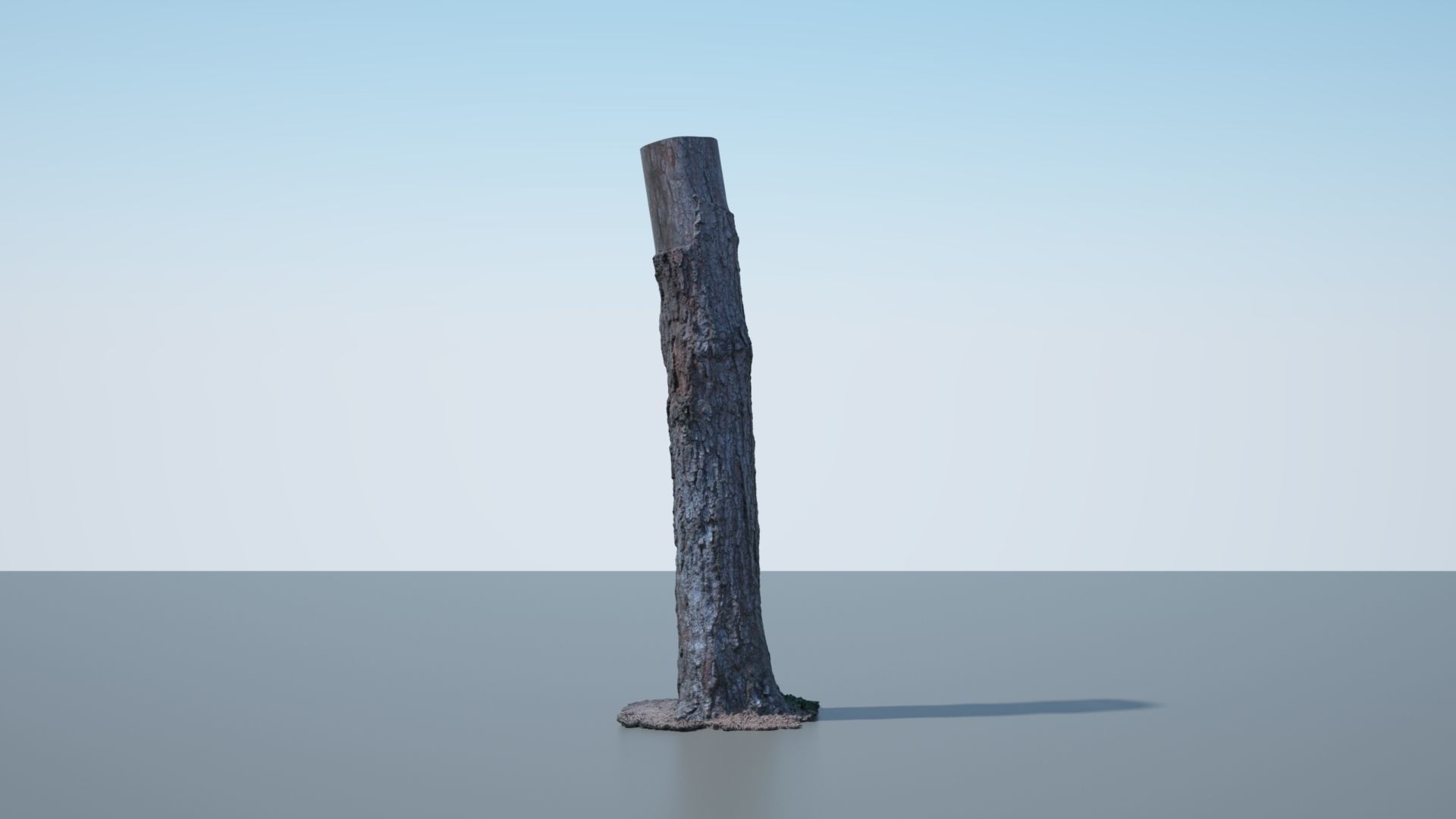 Tree Trunk - 03 3D model_5