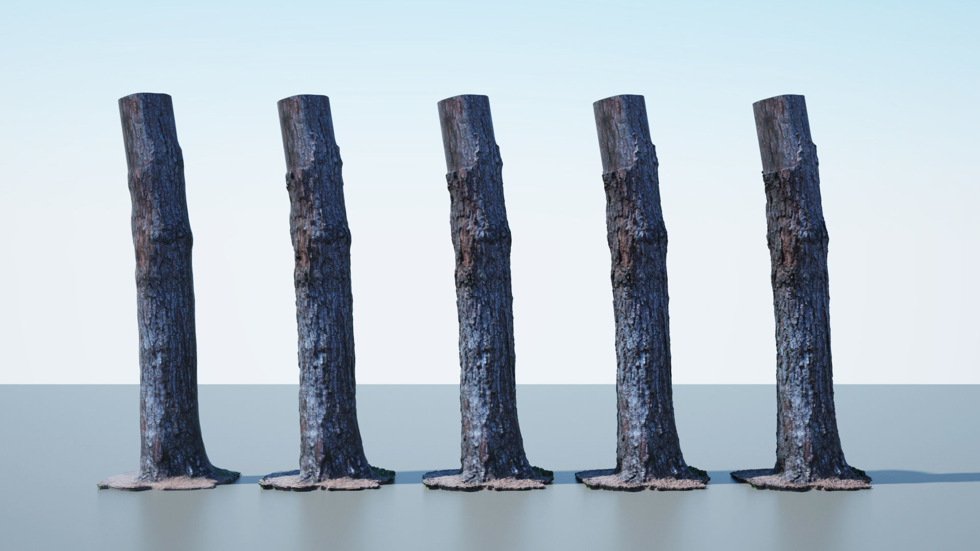 Tree Trunk - 03 3D model_2