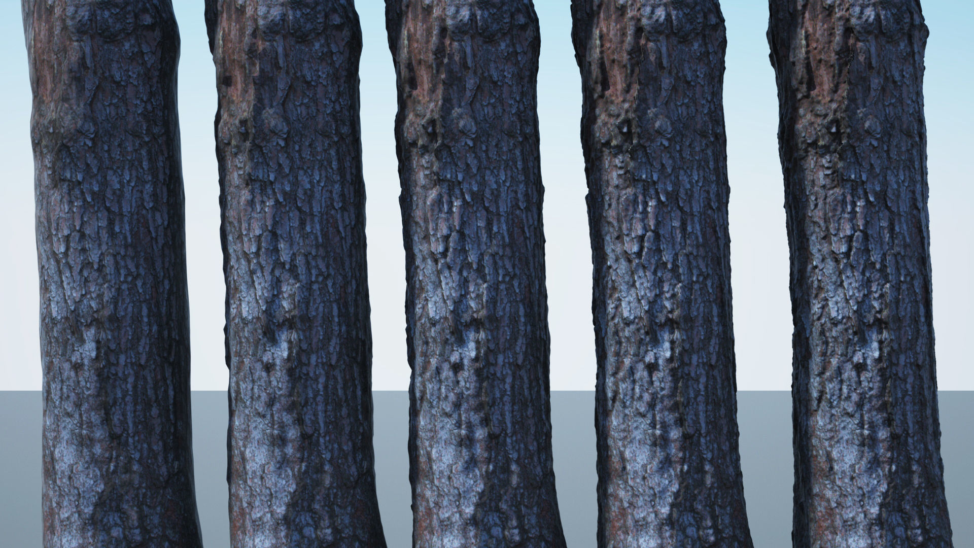 Tree Trunk - 03 3D model_4