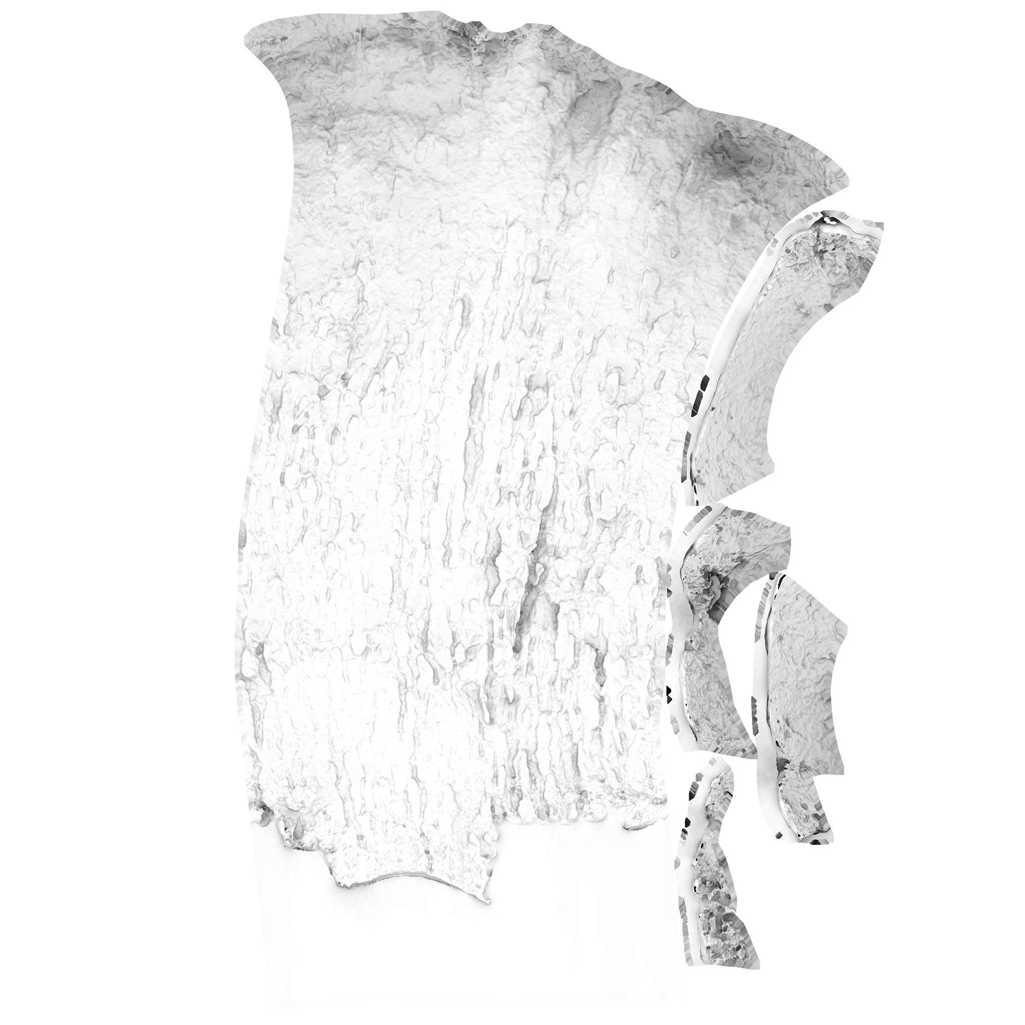 Tree Trunk - 03 3D model_11