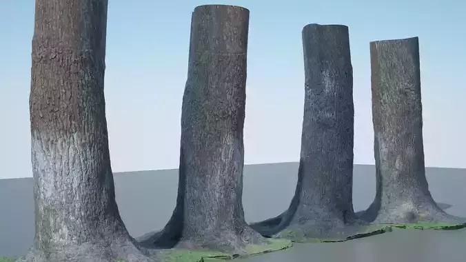 Tree Trunk - 04 3D model