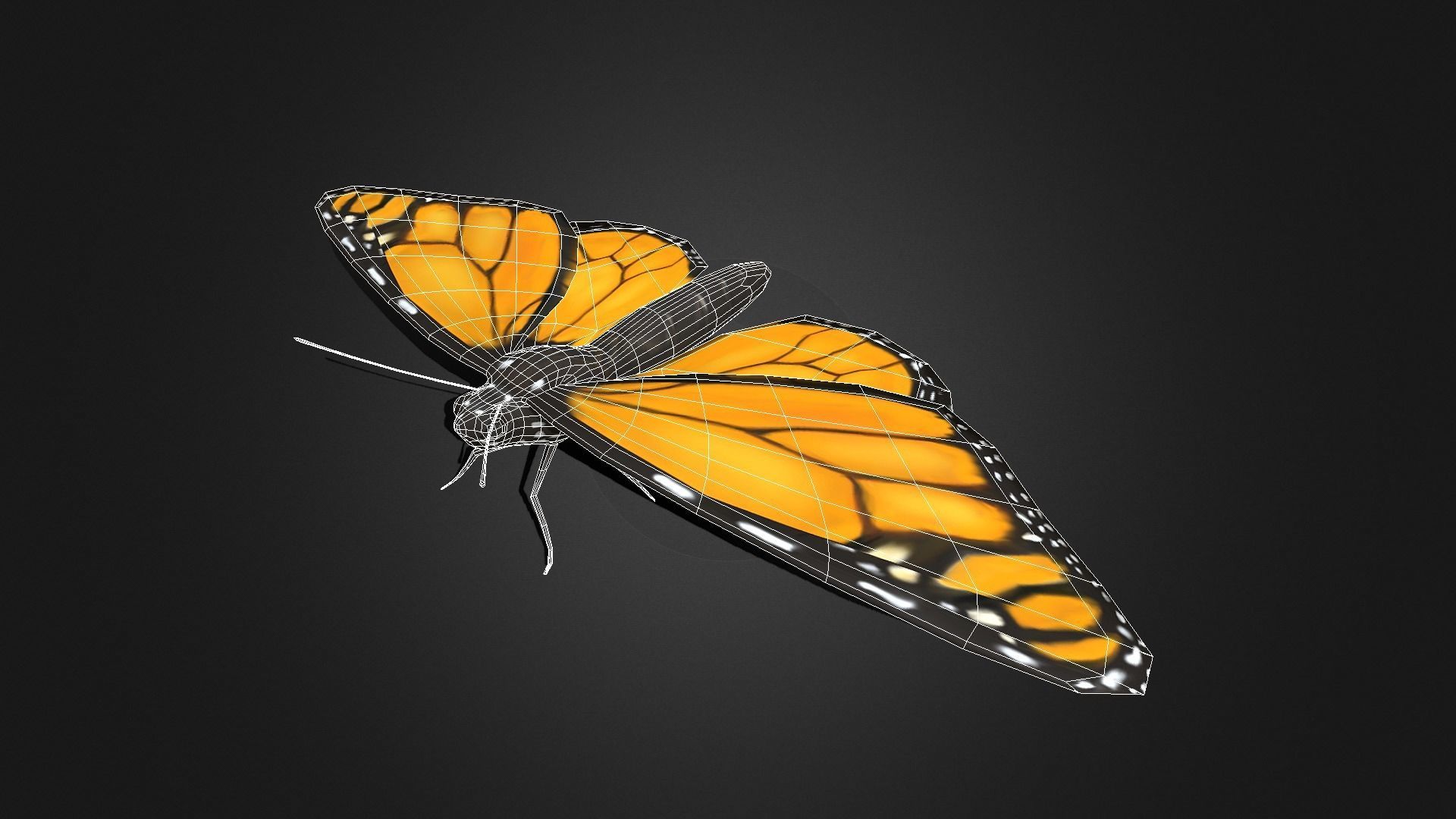 Low poly Monarch Butterfly  -  Animated Low-poly 3D model_4