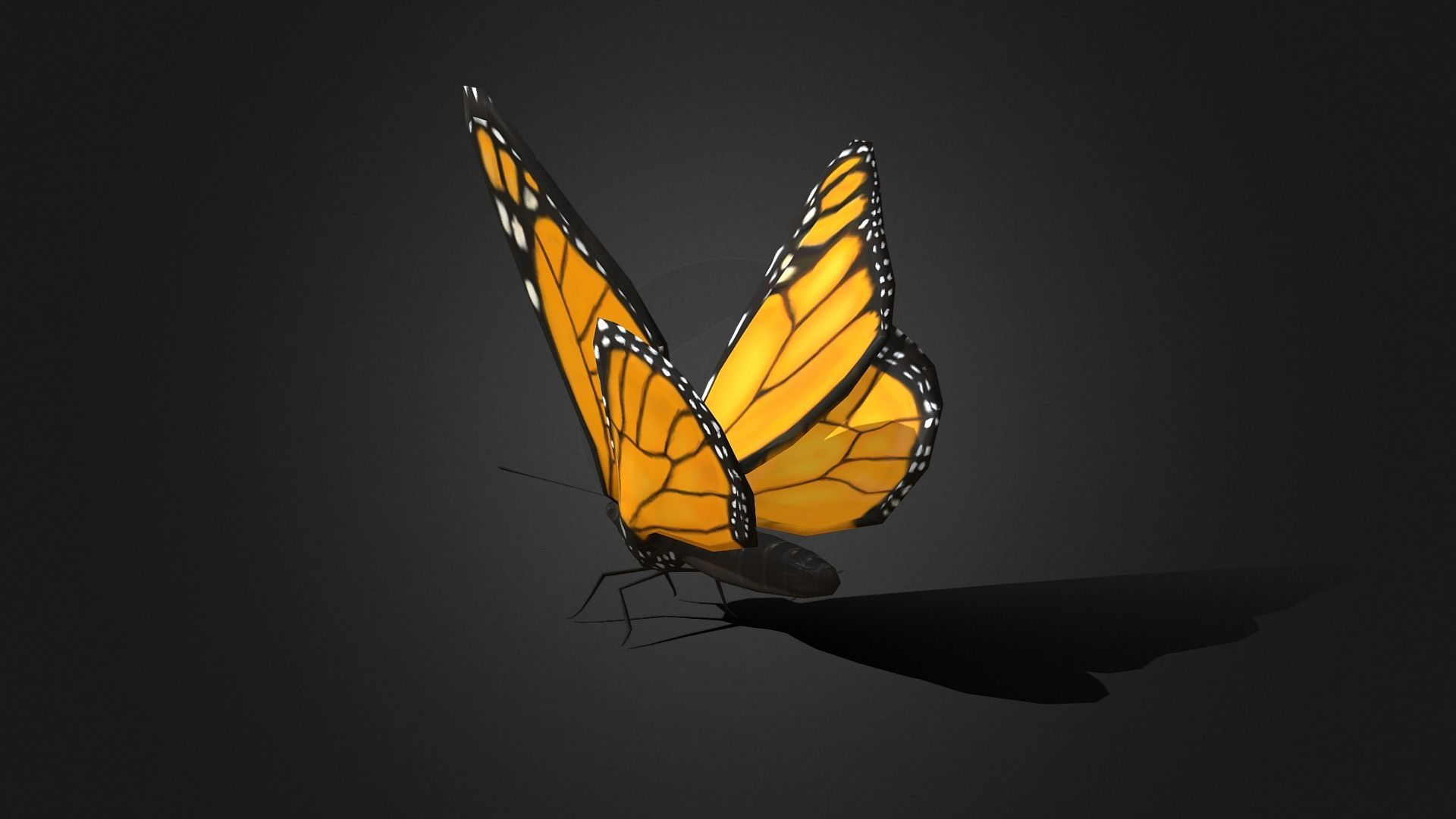Low poly Monarch Butterfly  -  Animated Low-poly 3D model_7