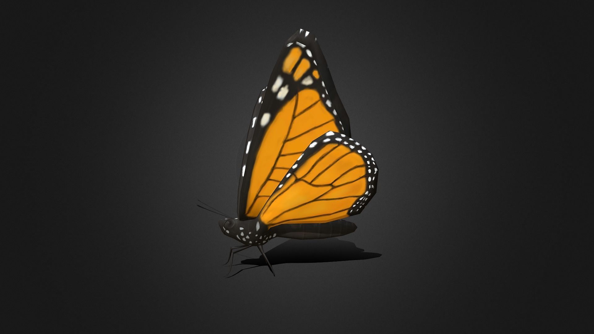 Low poly Monarch Butterfly  -  Animated Low-poly 3D model_5