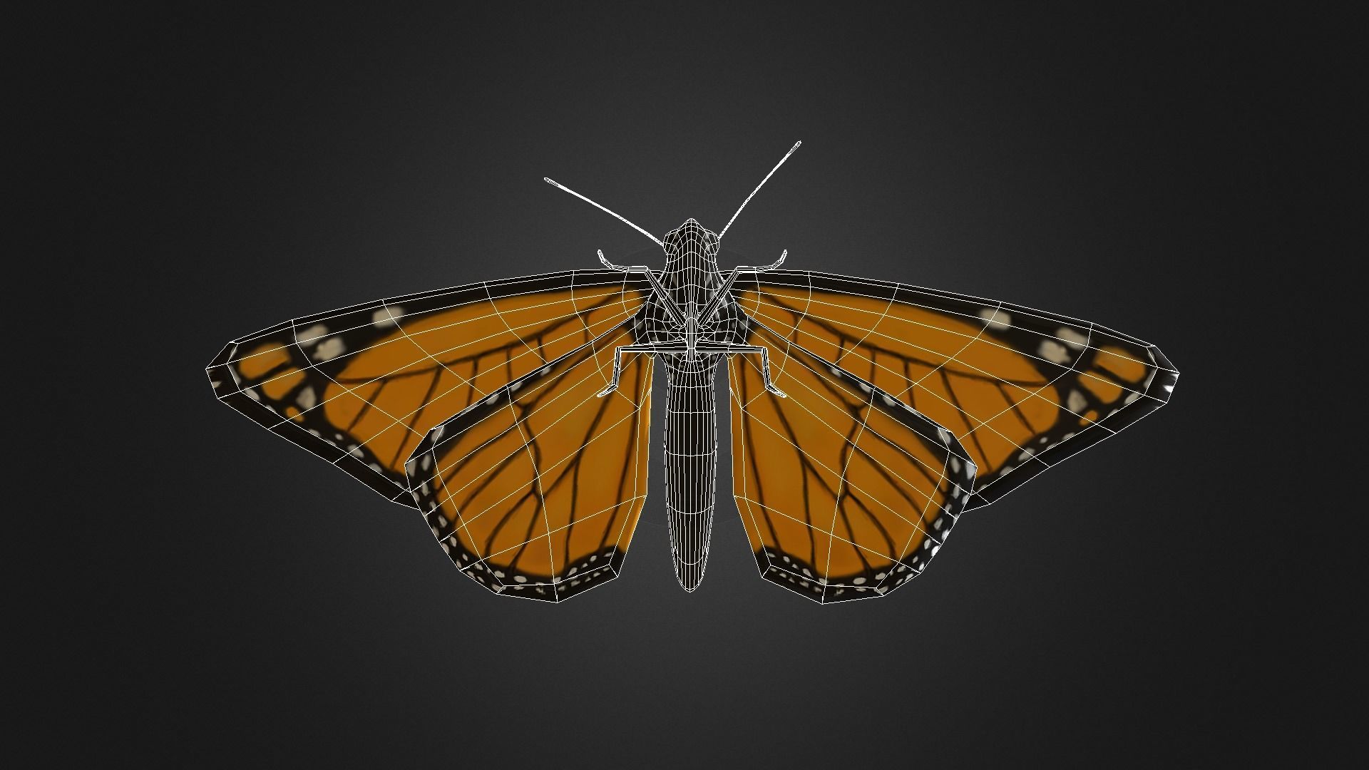 Low poly Monarch Butterfly  -  Animated Low-poly 3D model_10