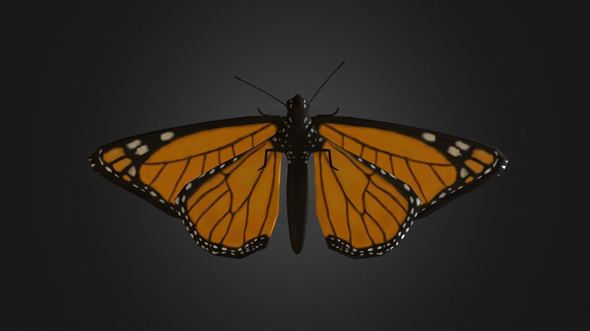 Low poly Monarch Butterfly  -  Animated Low-poly 3D model_9